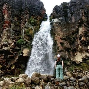 Meet your Posher, Tilley